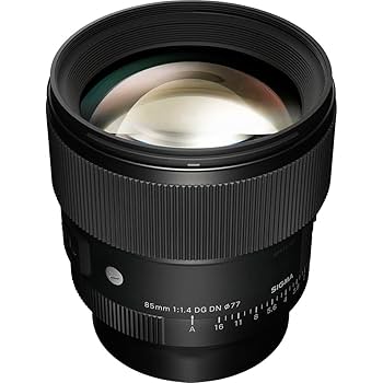 Amazon.com : Sigma 85mm F1.4 DG DN, for L-Mount : Electronics